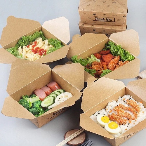 Bio Box Take-out box wholesale