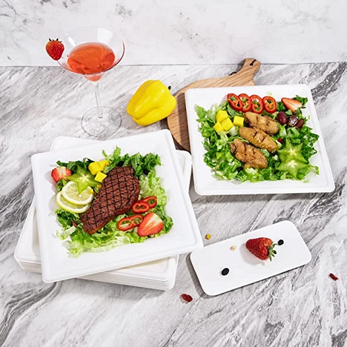bagasse square plate wholesale