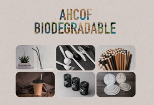 disposable food packaging