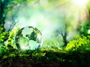 Bring Green to our Earth