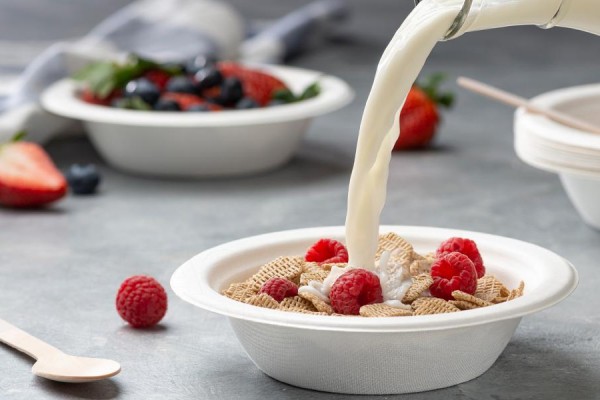 biodegradable bowl
