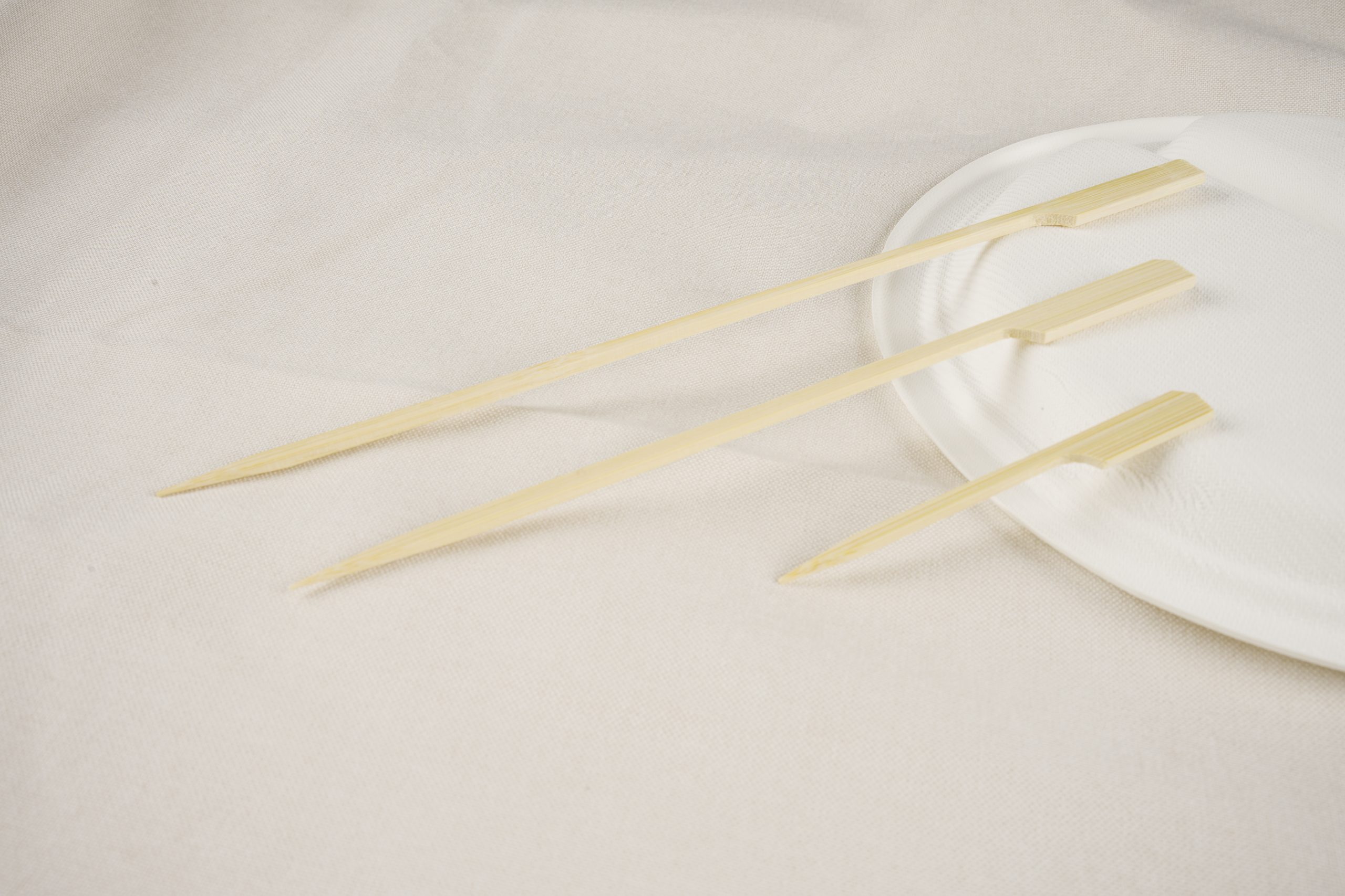 Bamboo Paddle Skewer - AHCOF